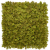 Olive Moss Green Wall Panel