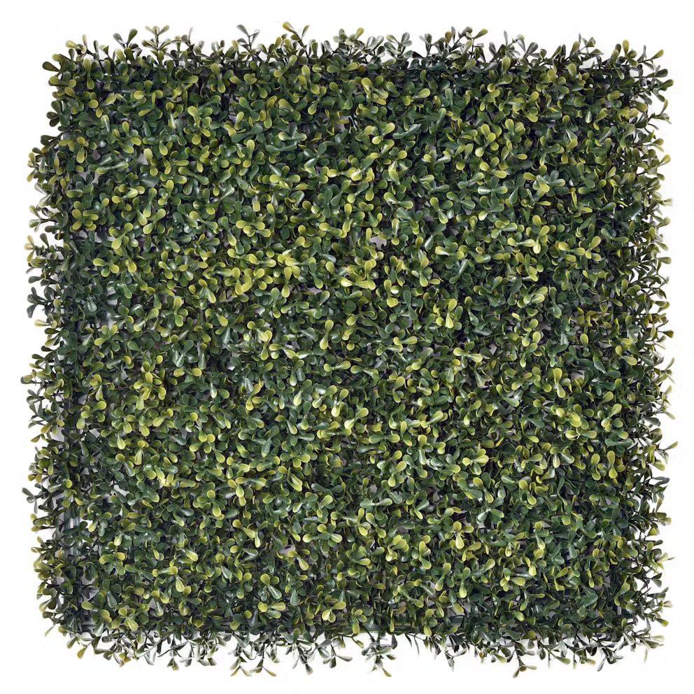 Artificial topiary hedge panel 50cm x 50cm with dense, clipped box-hedge foliage