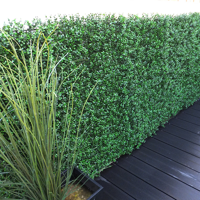 artificial boxwood dark in use