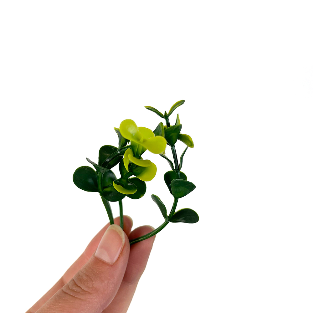 boxwood natural hedge tiles foliage