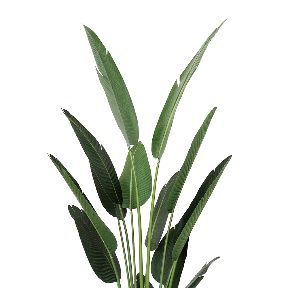 top of the artificial travellers palm
