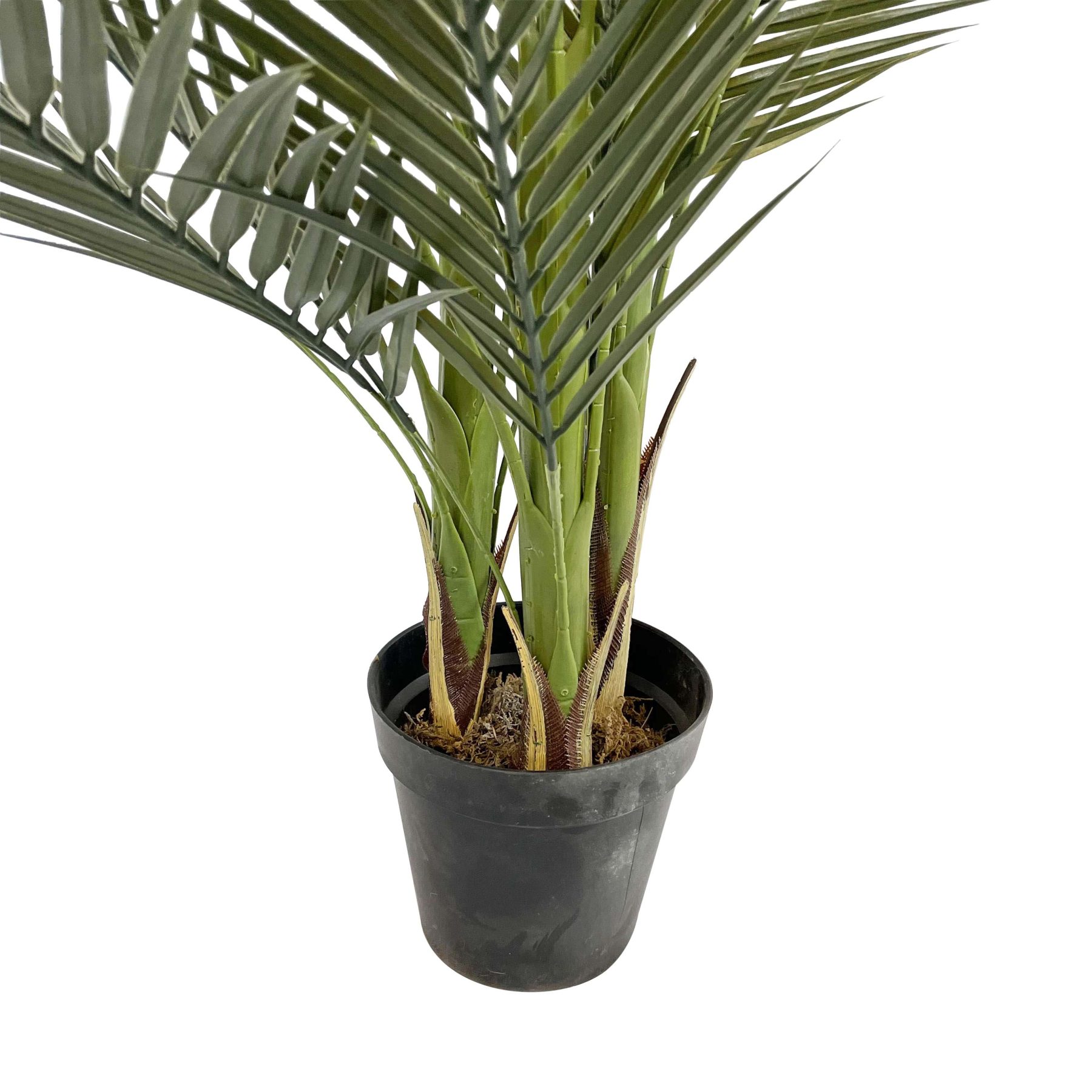 close up of the artificial paradise palm trunks