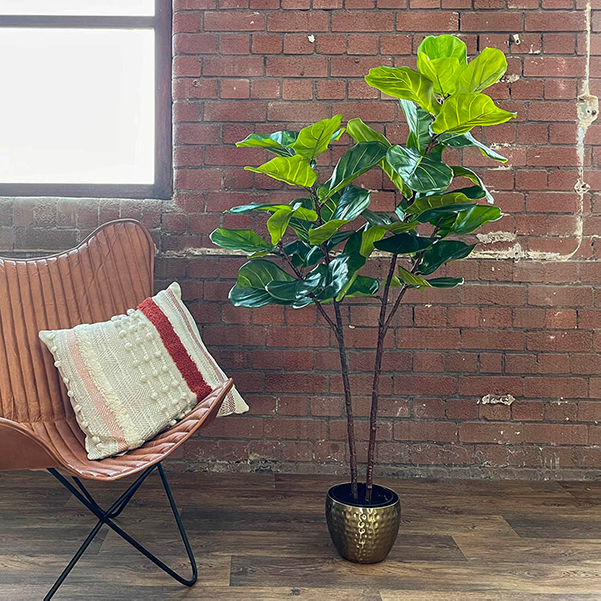 indoor artificial ficus plant