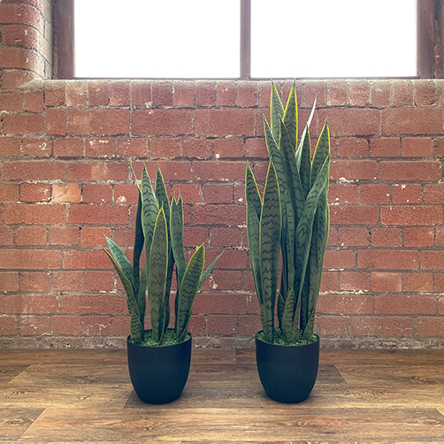 two sizes available of the indoor artificial snake plant
