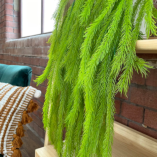foliage close up of artificial hanging fern plant