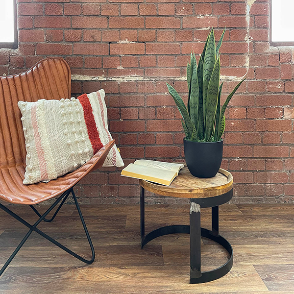 indoor small artificial green snake plant