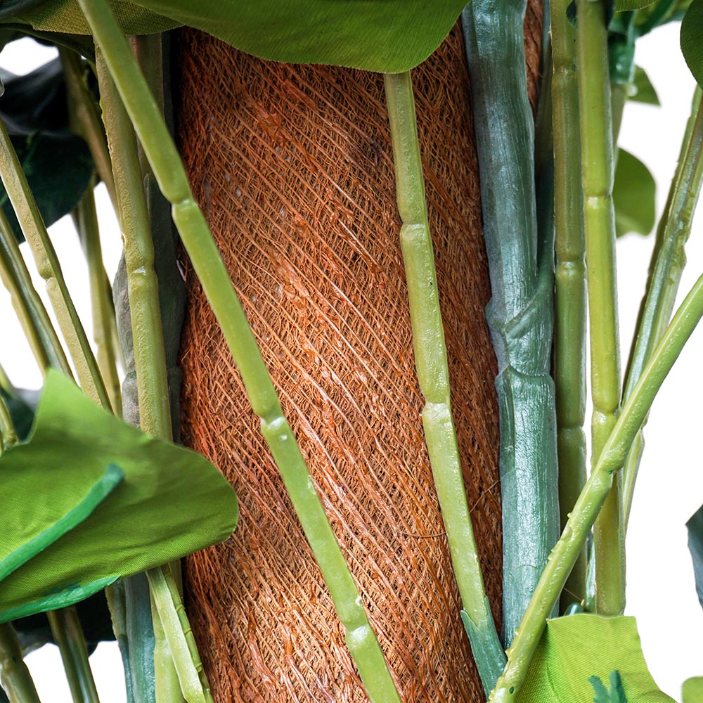 close up of centre of large monstera plant