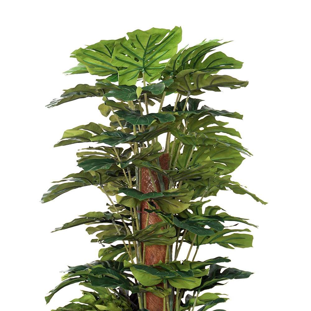 monstera plant with faux hessian support column