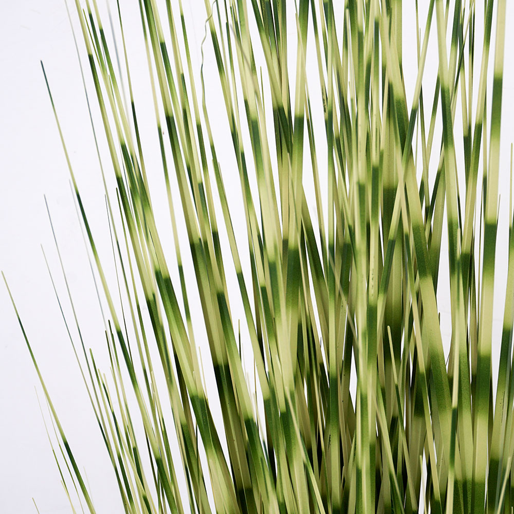artificial zebra grass close up