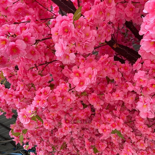 Brand Activation Strategies for a Lasting Impact on Your Audience