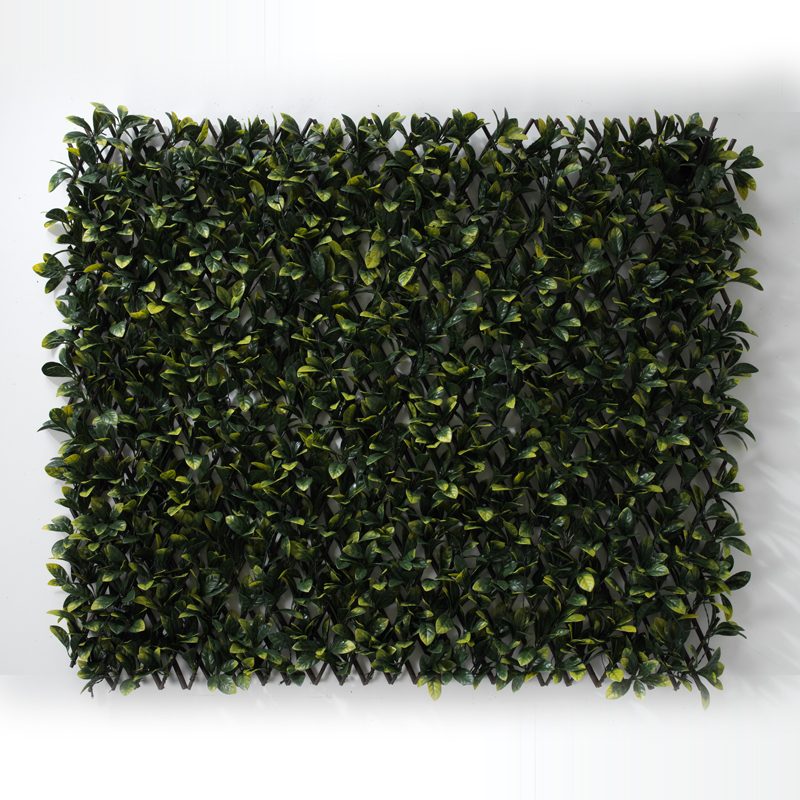 Lauren Artificial Hedging Fake Hedges Uk