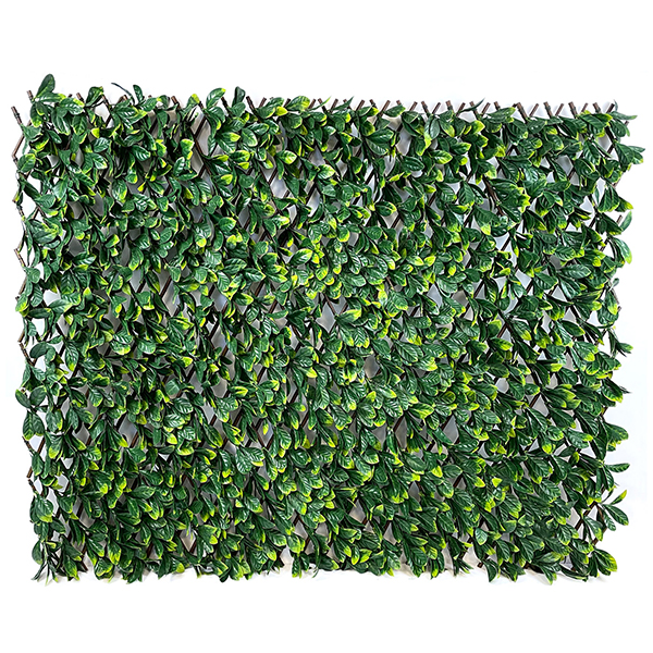 laurel 2m x 1m extendable hedge