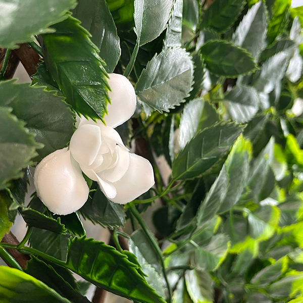 close up summer extendable trellis foliage