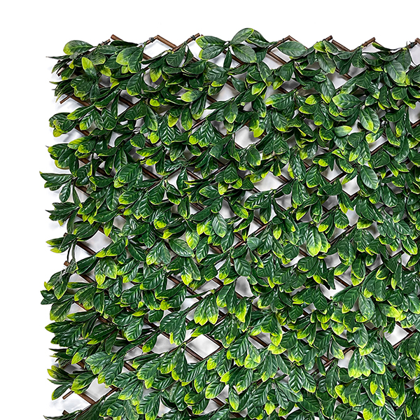 extendable hedging screen laurel