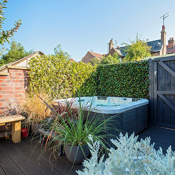 extendable laurel trellis in a garden