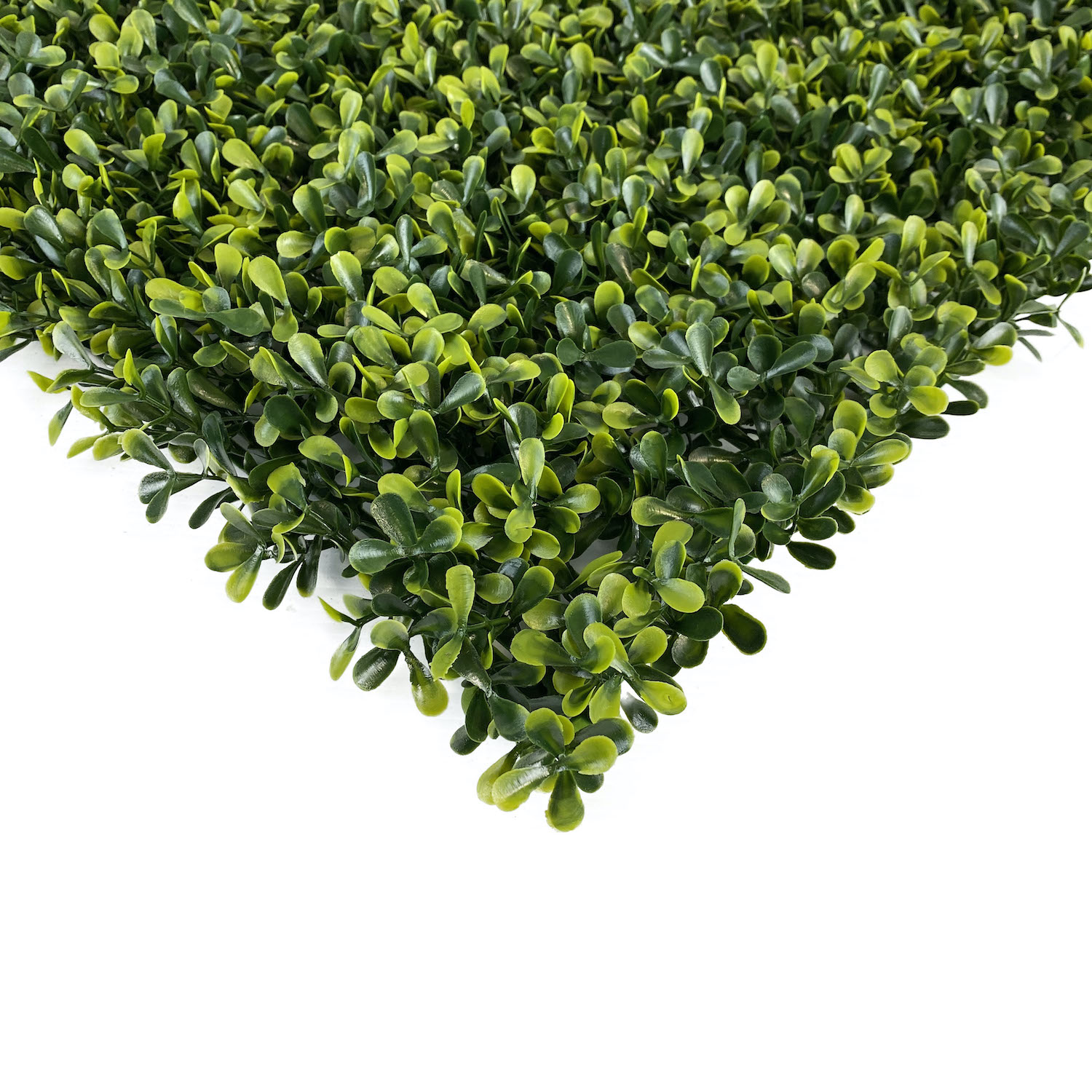 Artificial Hedge 50cm Golden Box Tile Unreal Bunnings Warehouse