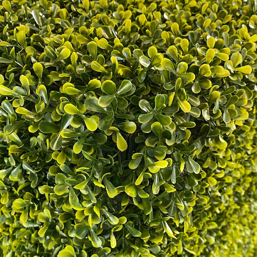 Artificial box hedge close up