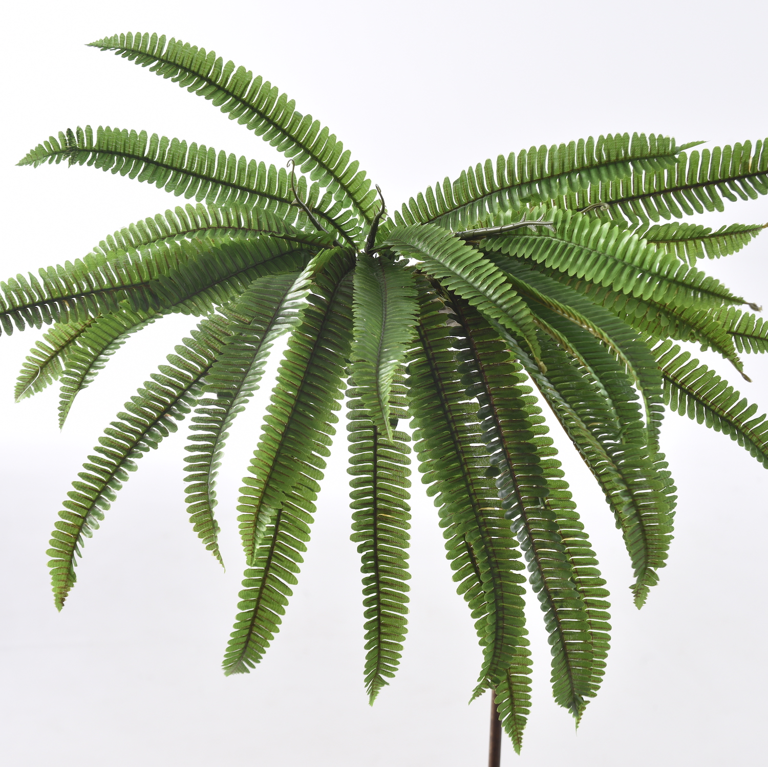 artificial Fern Spike