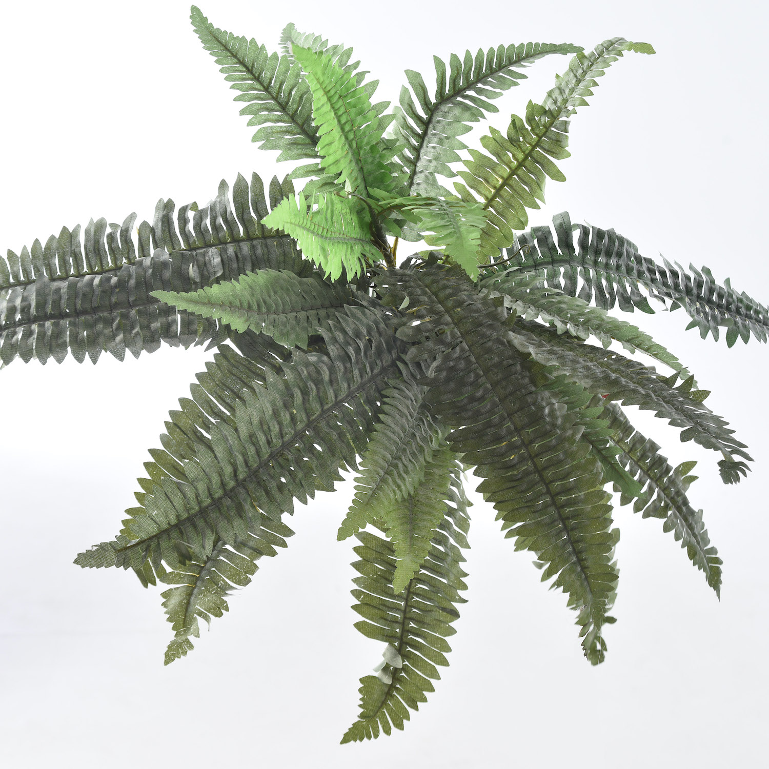 artificial Sword Fern