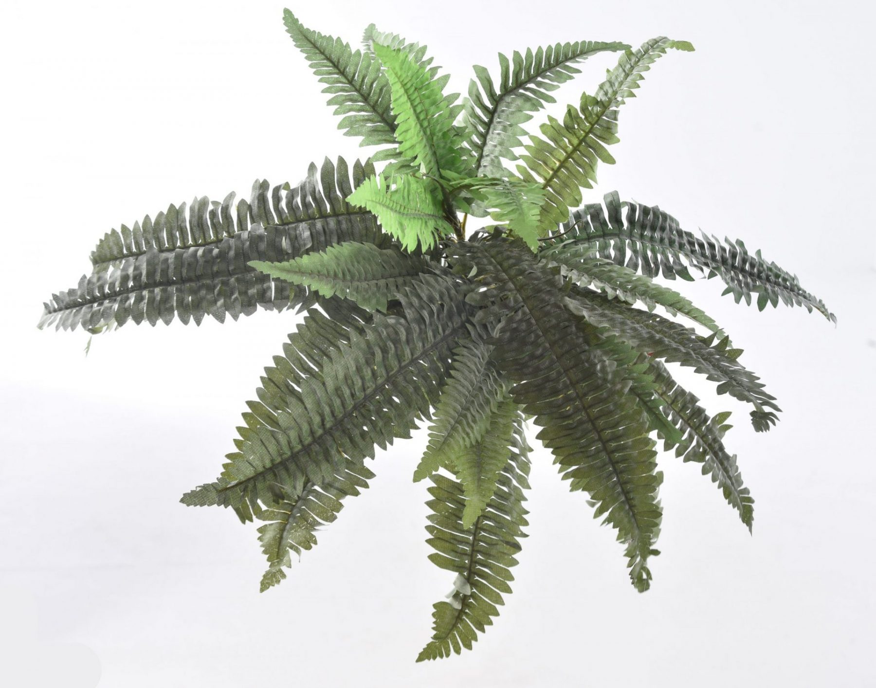 artificial Sword Fern details