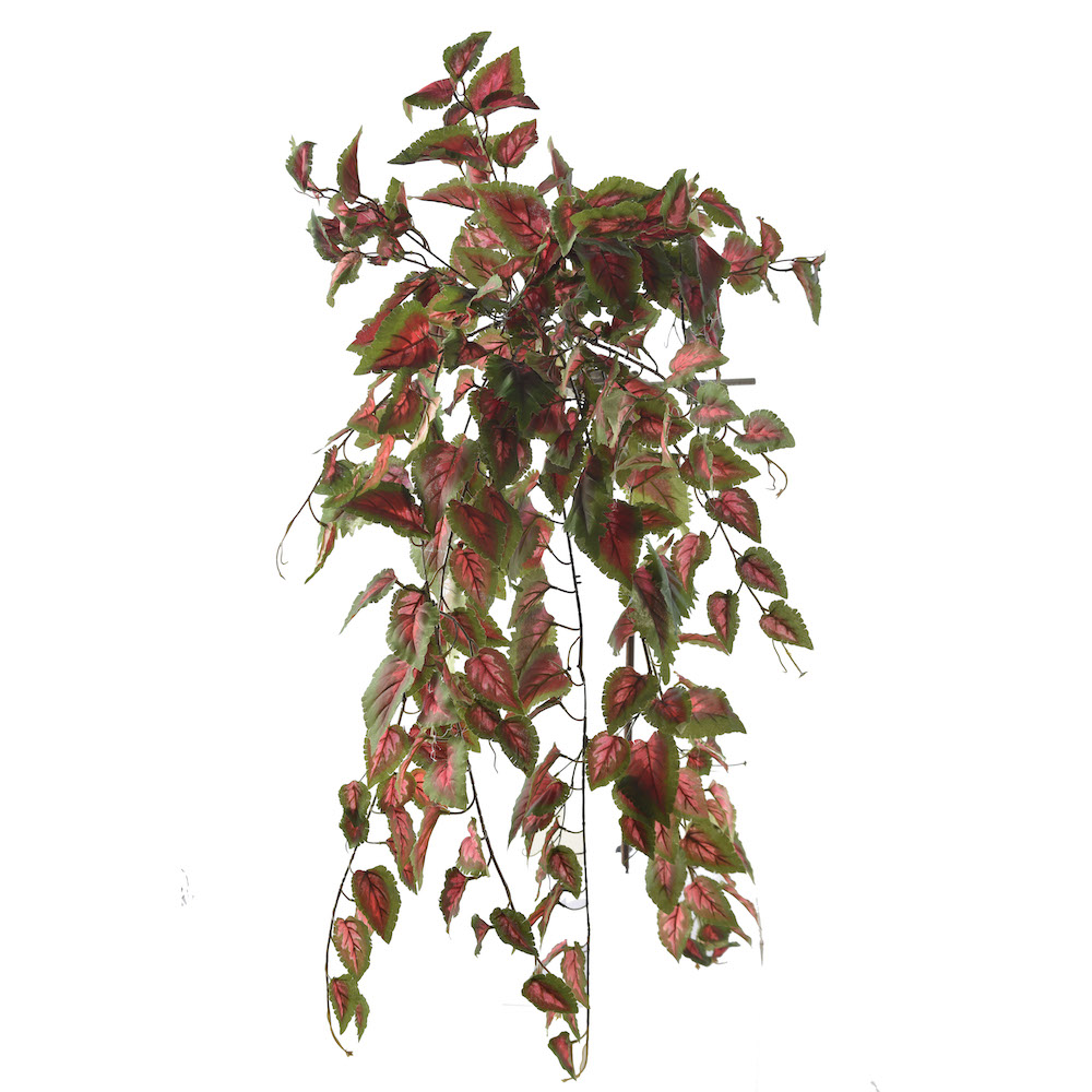 artificial trailing Caladium