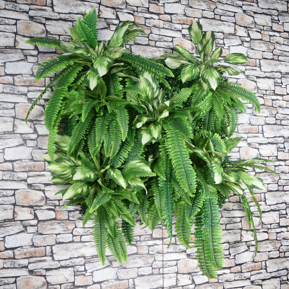 Tree Fern Lifestyle arrangement