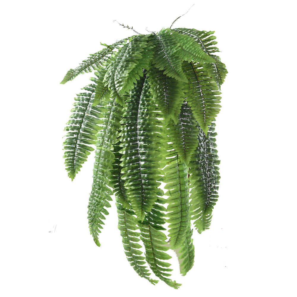 Trailing Artificial tree fern