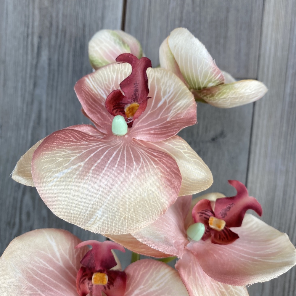artificial vintage orchid peach close up