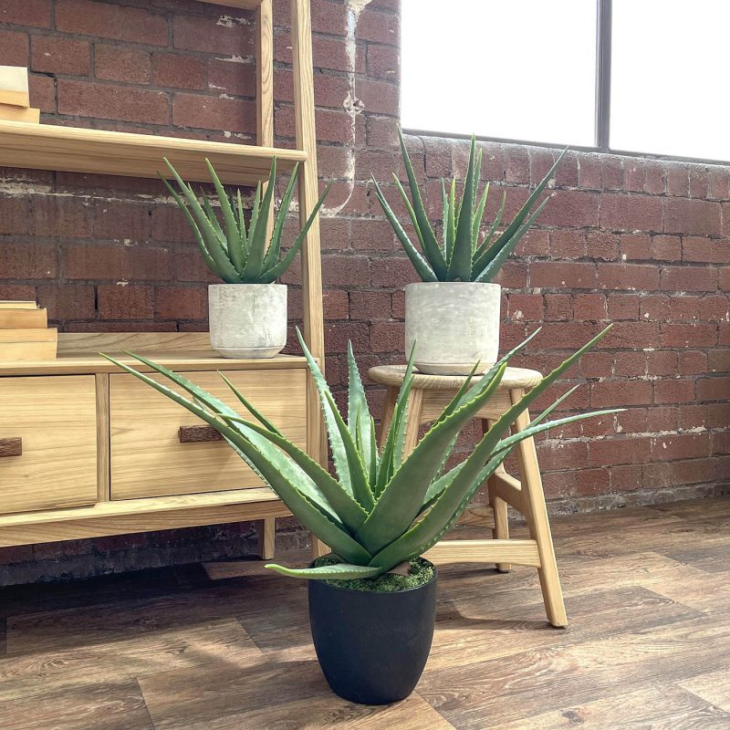 Three sizes of artificial allow vera plants on display