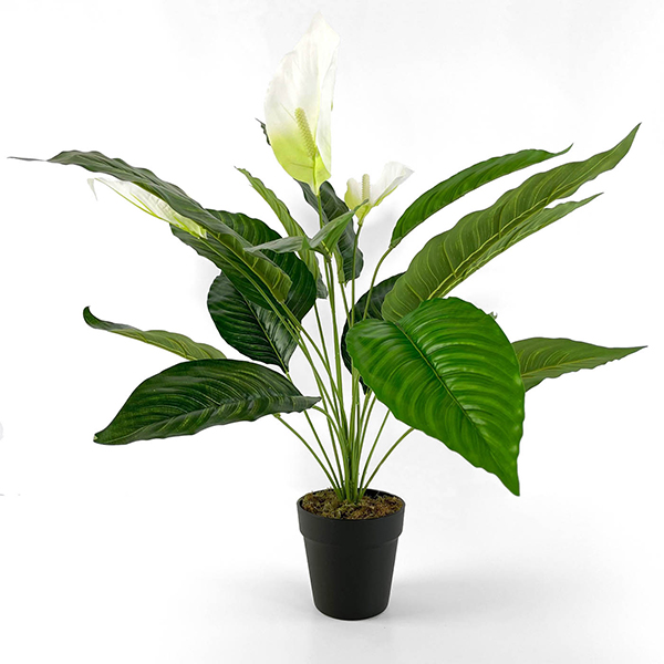 large artificial peace lily
