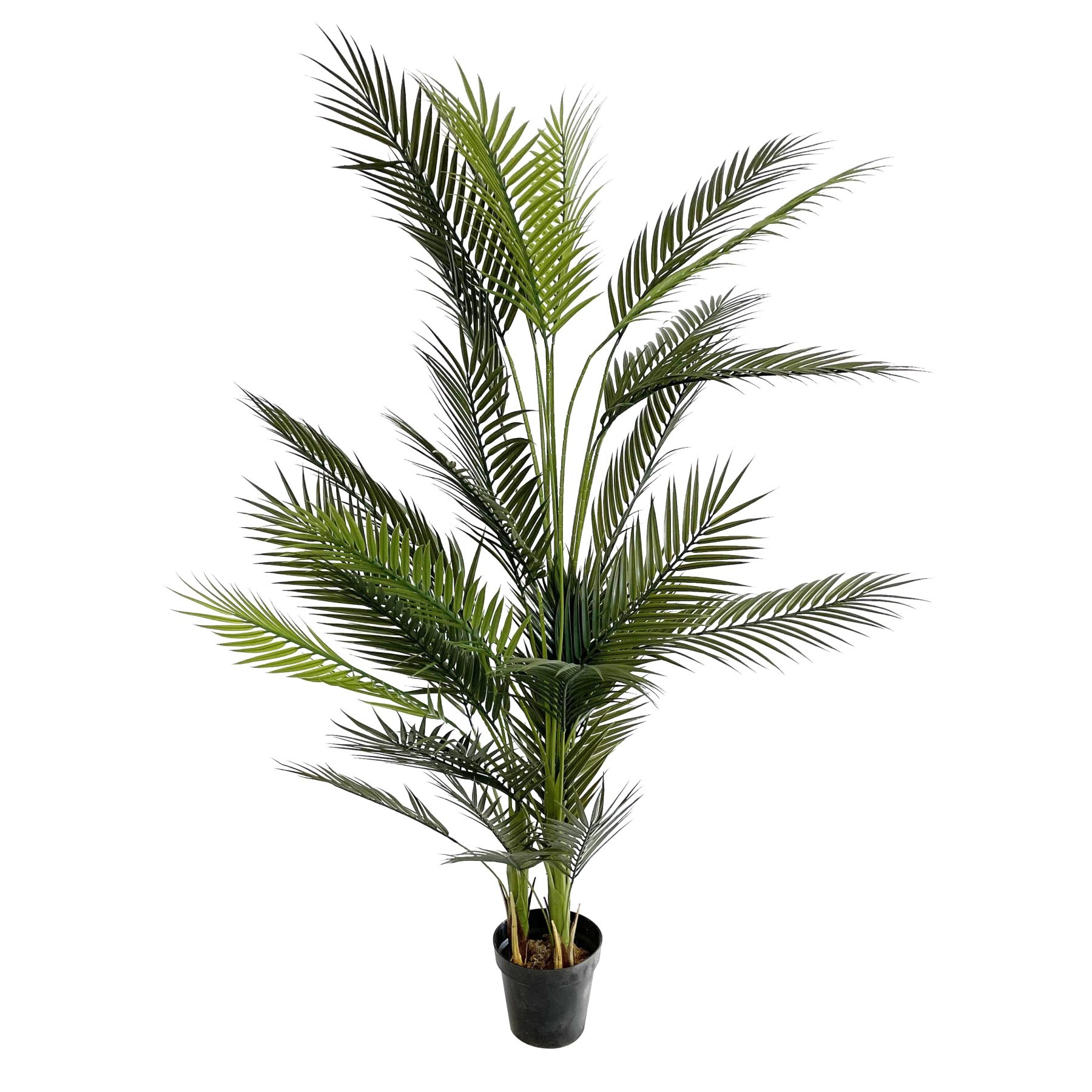the artificial paradise palm plant open up