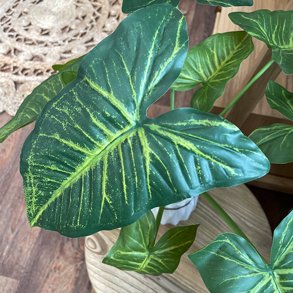 artificial arrow plant foliage close up