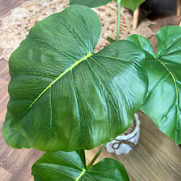 foliage close up on artificial elephant ear plant