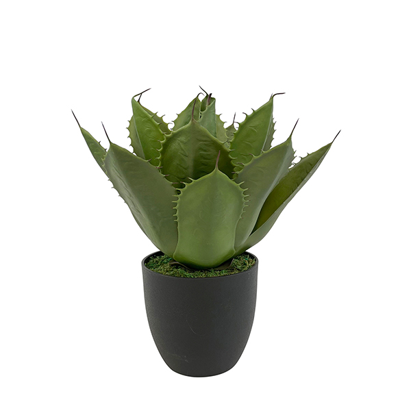 indoor tropical artificial crown plant