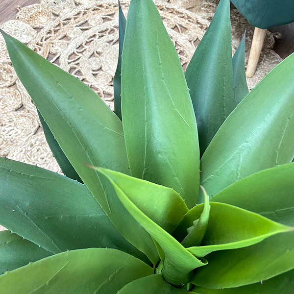 foliage close up of artificial crown plant