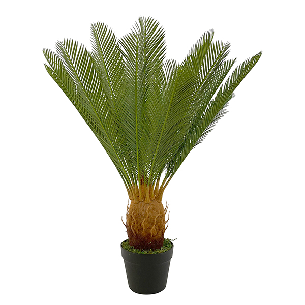 artificial cycas plant