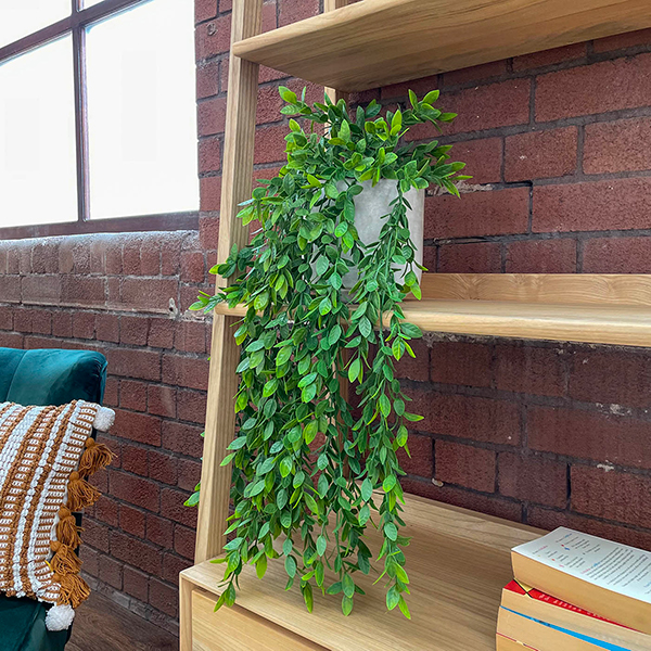 artificial hanging ficus plant