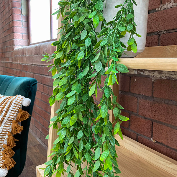 foliage close up artificial hanging ficus plant