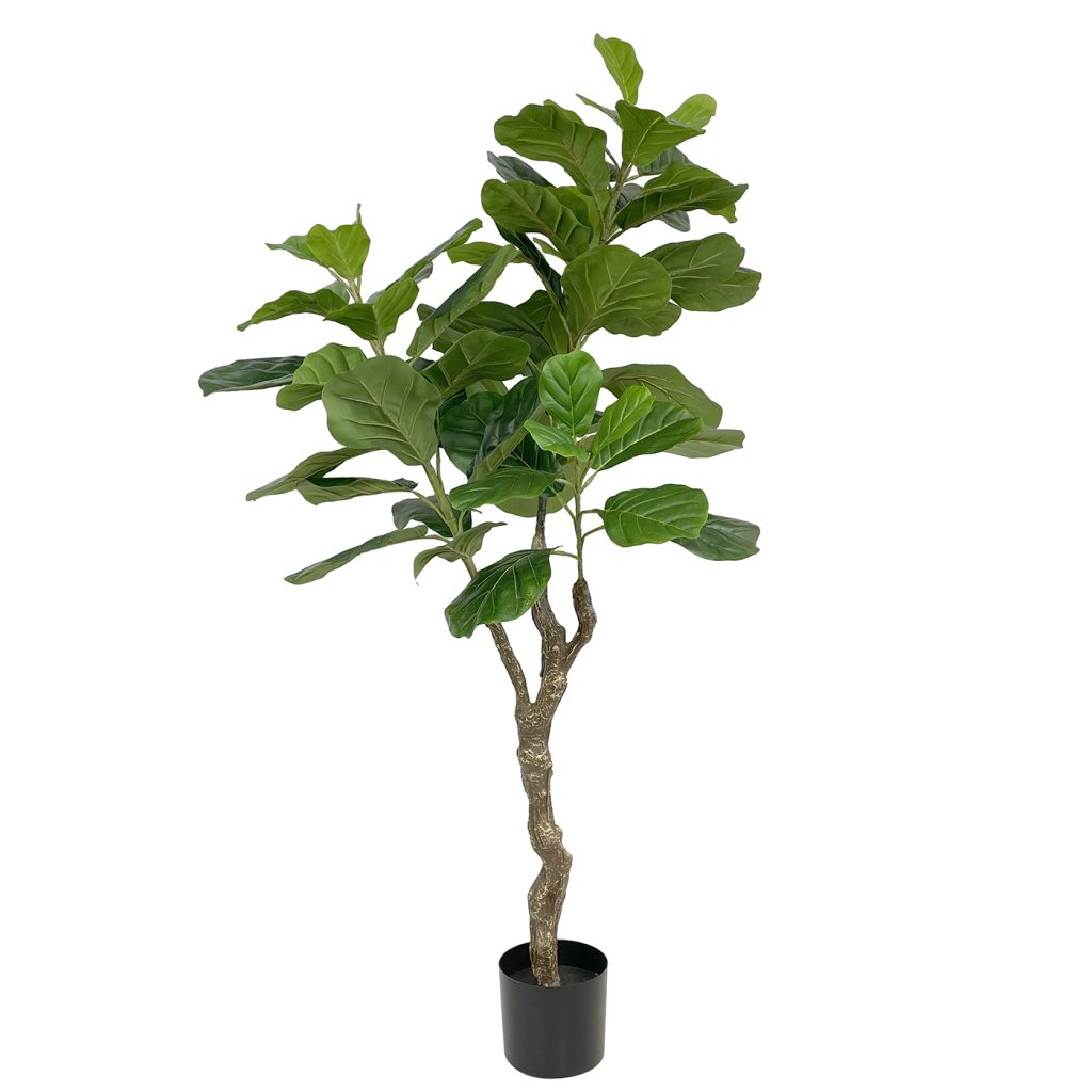 artificial ficus tree with white background