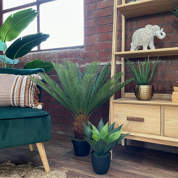 artificial indoor cycas plant with tropical plants