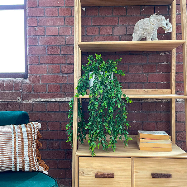 indoor artificial ficus plant