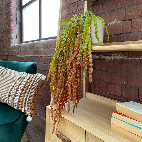 Artificial Hanging Seaweed