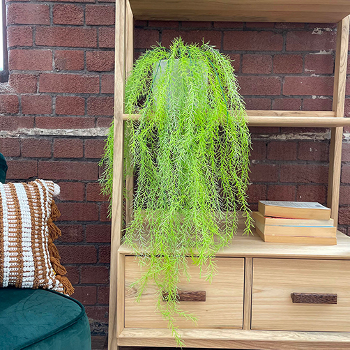 indoor artificial hanging moss plant