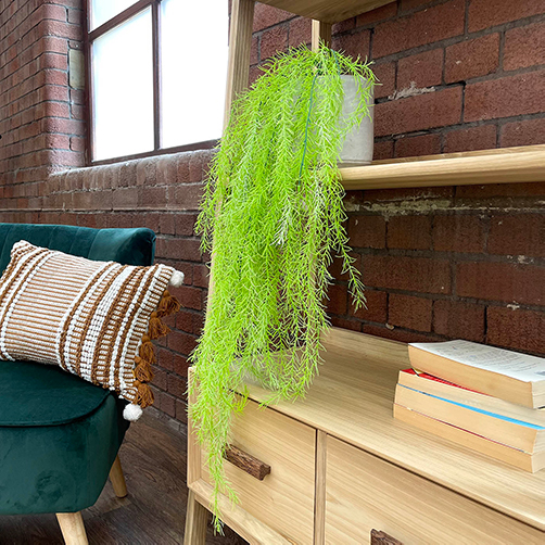 artificial hanging moss plant