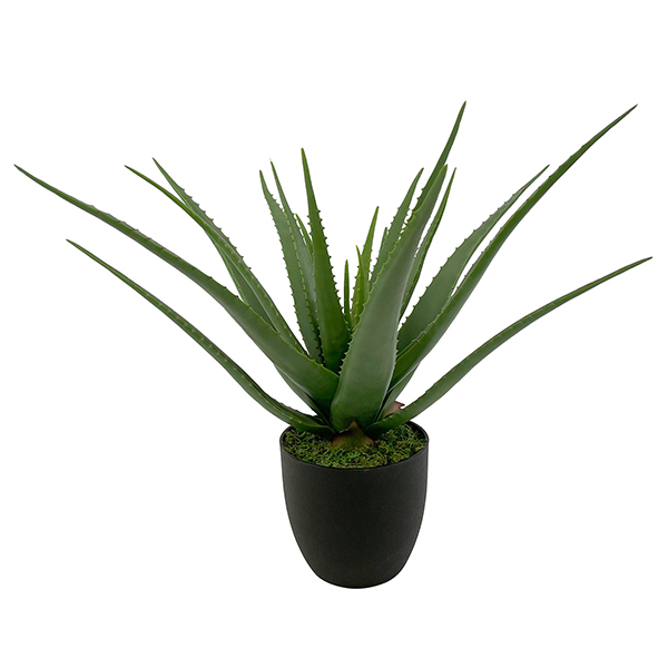 large artificial aloe vera plant