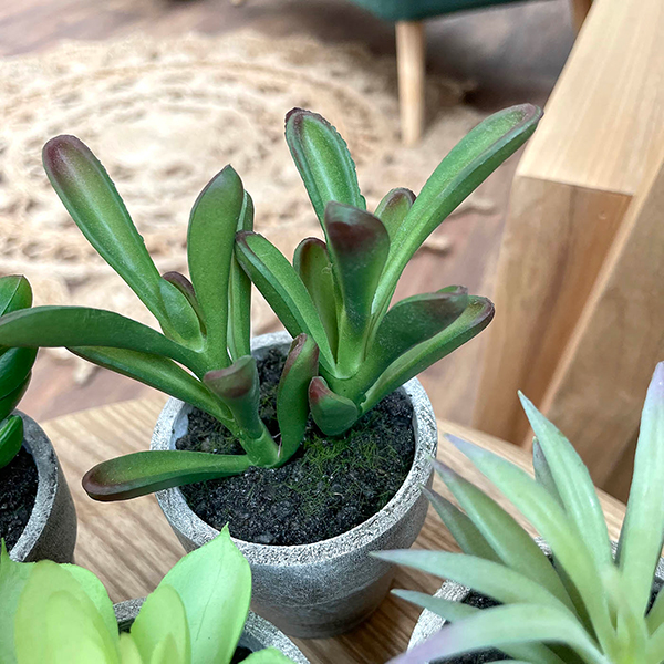 close up of one of the mini faux succulent plants