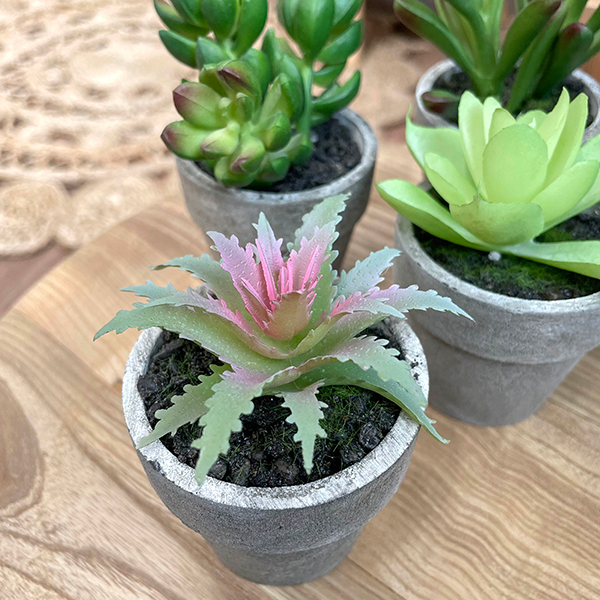 small succulent artificial indoor plant