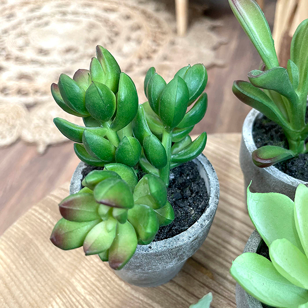 artificial small succulent plant