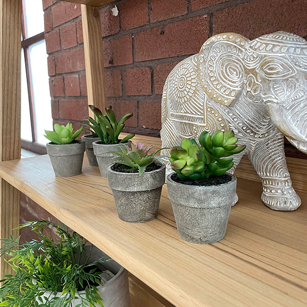 5 mini artificial succulents