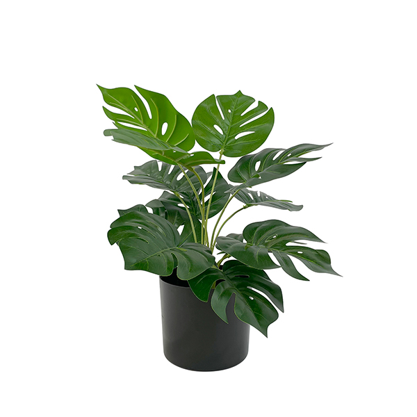 indoor faux monstera plant